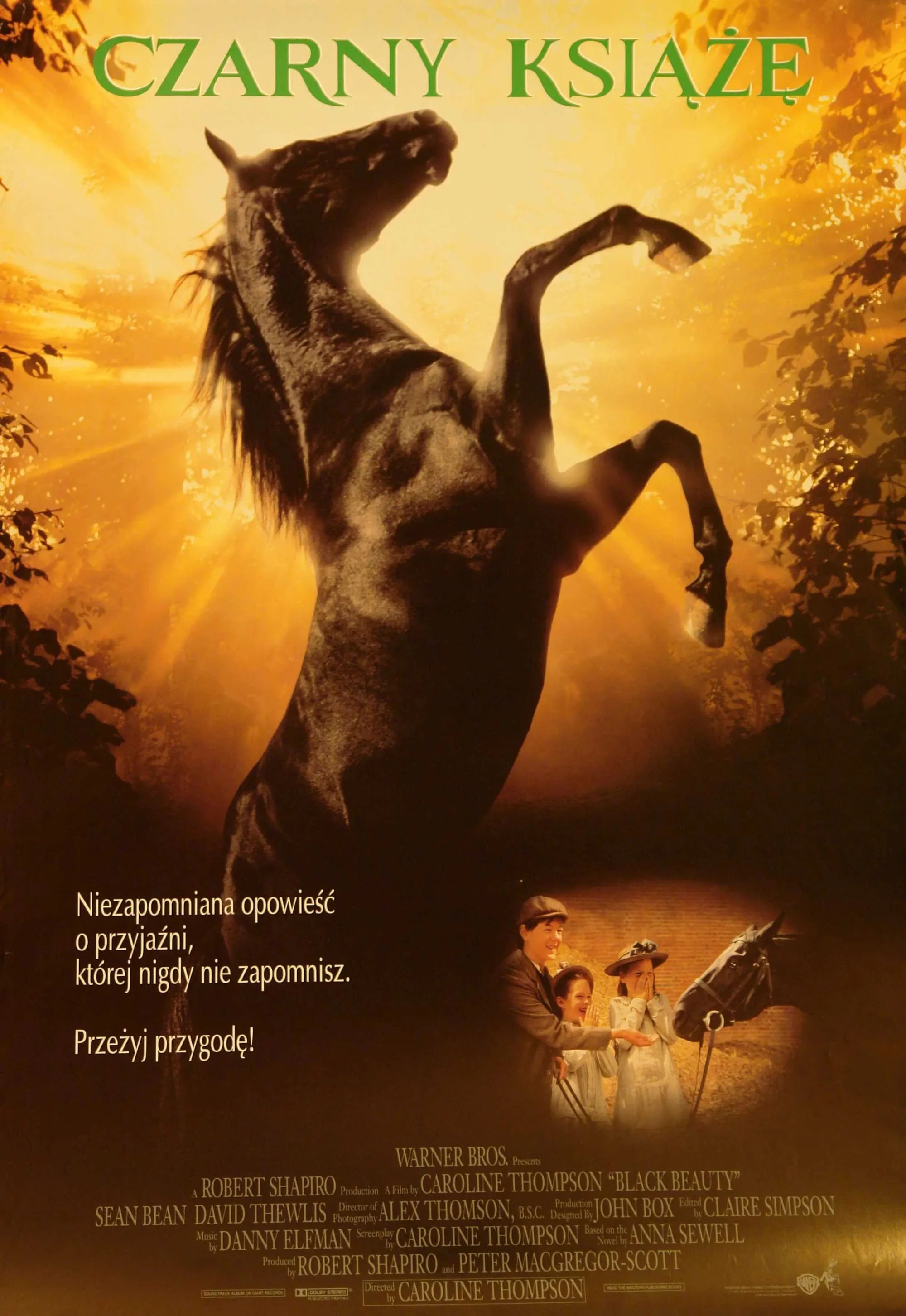 Polski plakat filmu ''