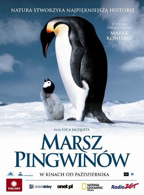 Polski plakat filmu 'Marsz Pingwinów'