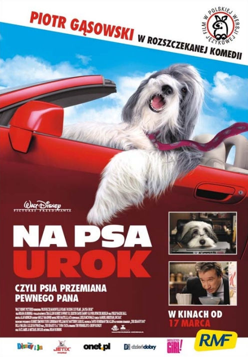 Polski plakat filmu 'Na Psa Urok'