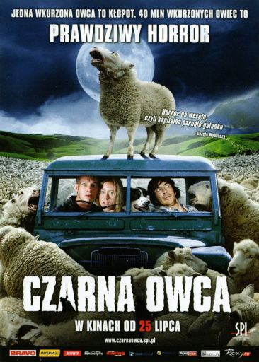 Przód ulotki filmu 'Czarna Owca'