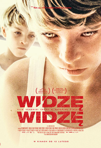 Polski plakat filmu 'Widzę, Widzę'