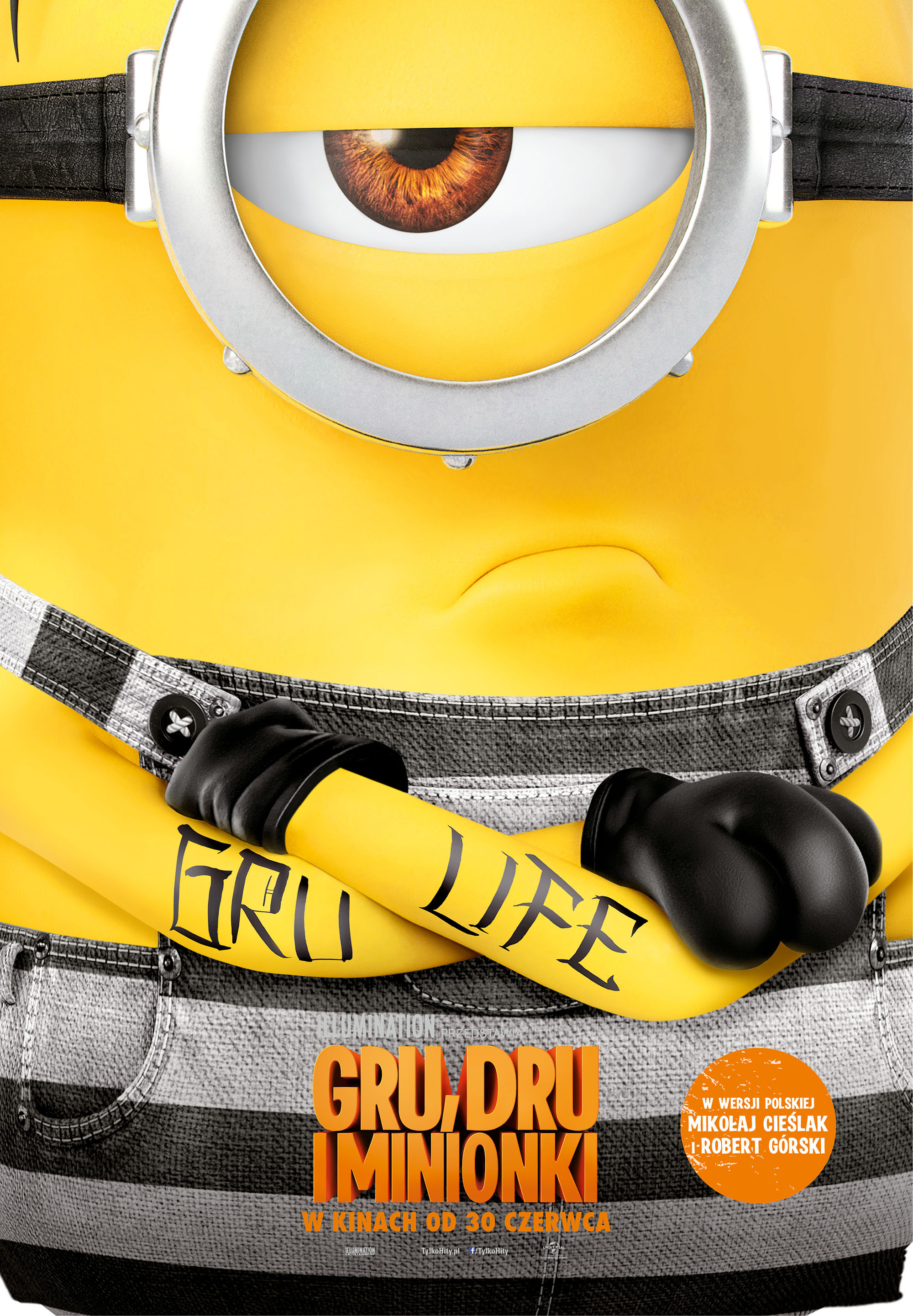 Polski plakat filmu 'Gru, Dru i Minionki'