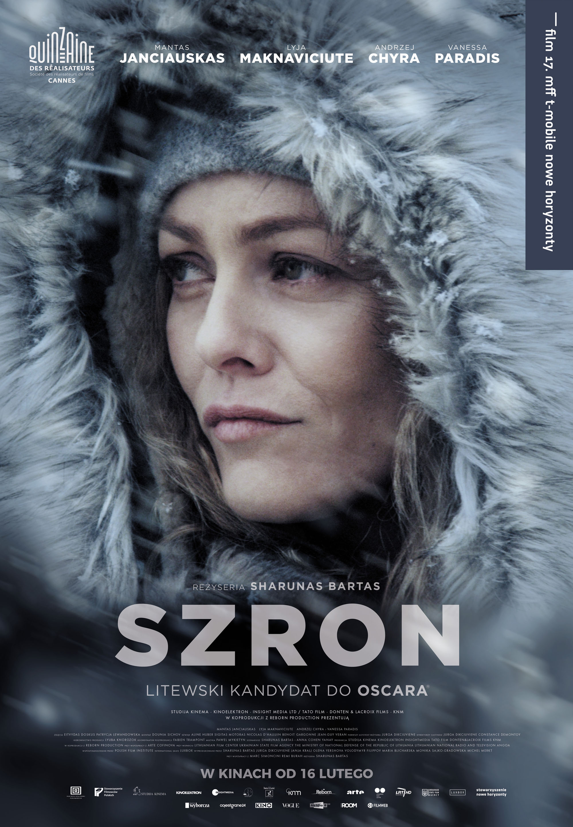 Polski plakat filmu 'Szron'