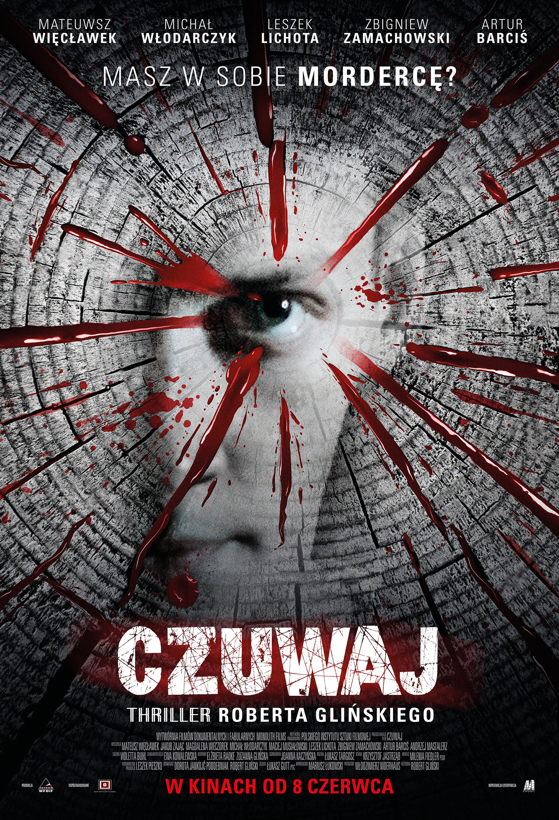 Polski plakat filmu 'Czuwaj'