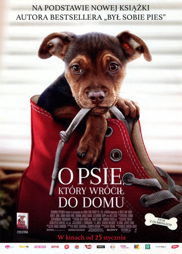 Polski plakat filmu 'O Psie, Który Wrócił Do Domu'