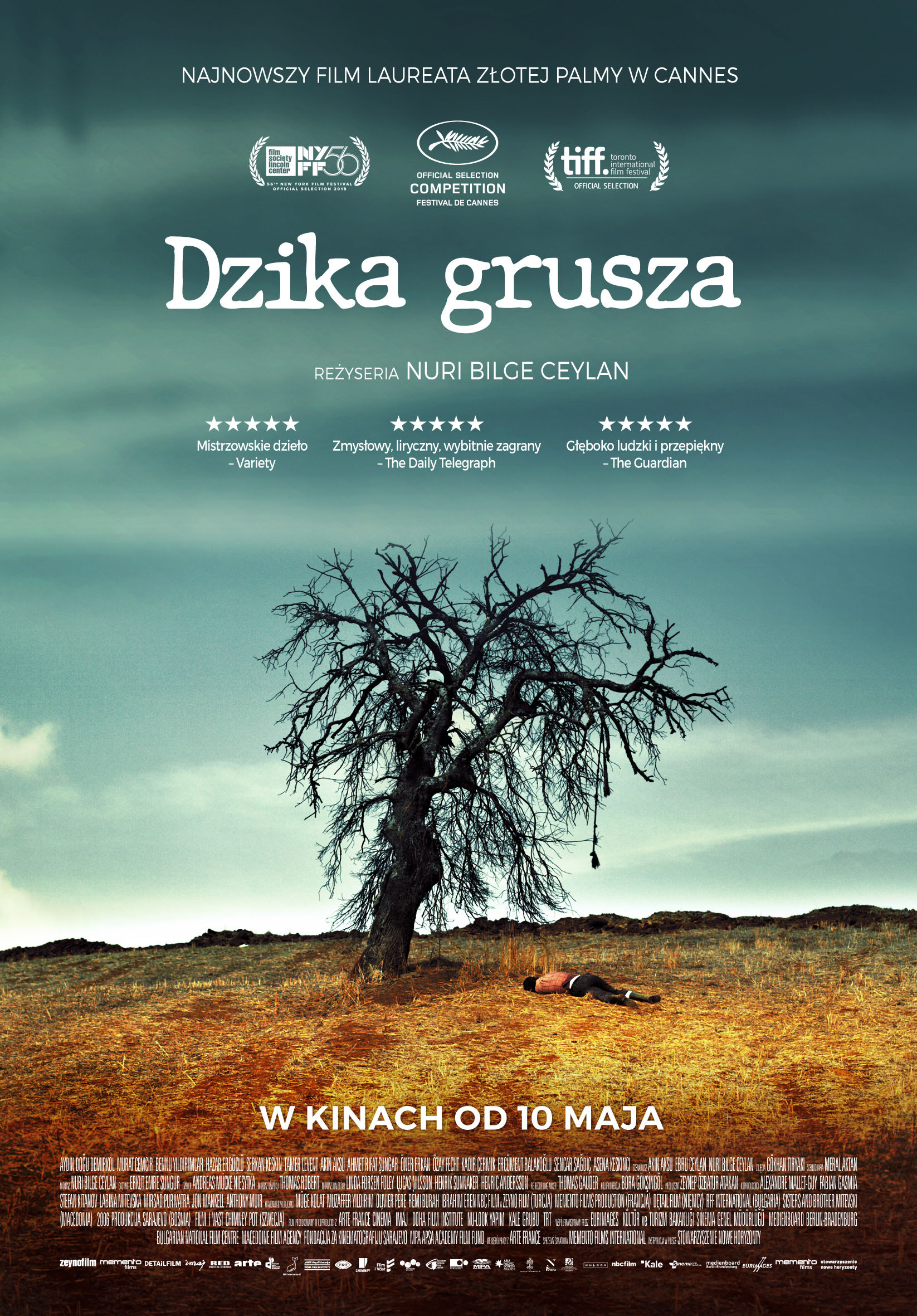 Polski plakat filmu 'Dzika Grusza'