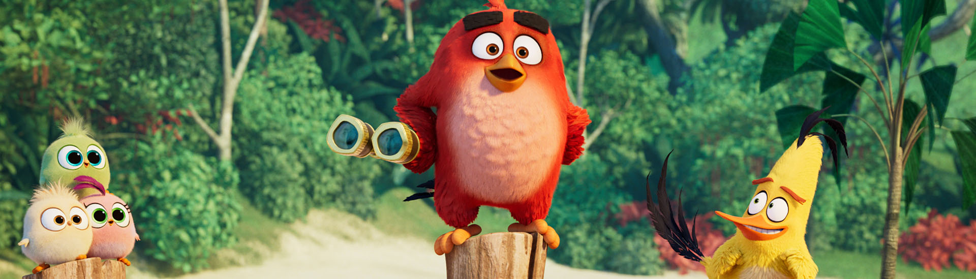 Baner filmu 'Angry Birds Film 2'