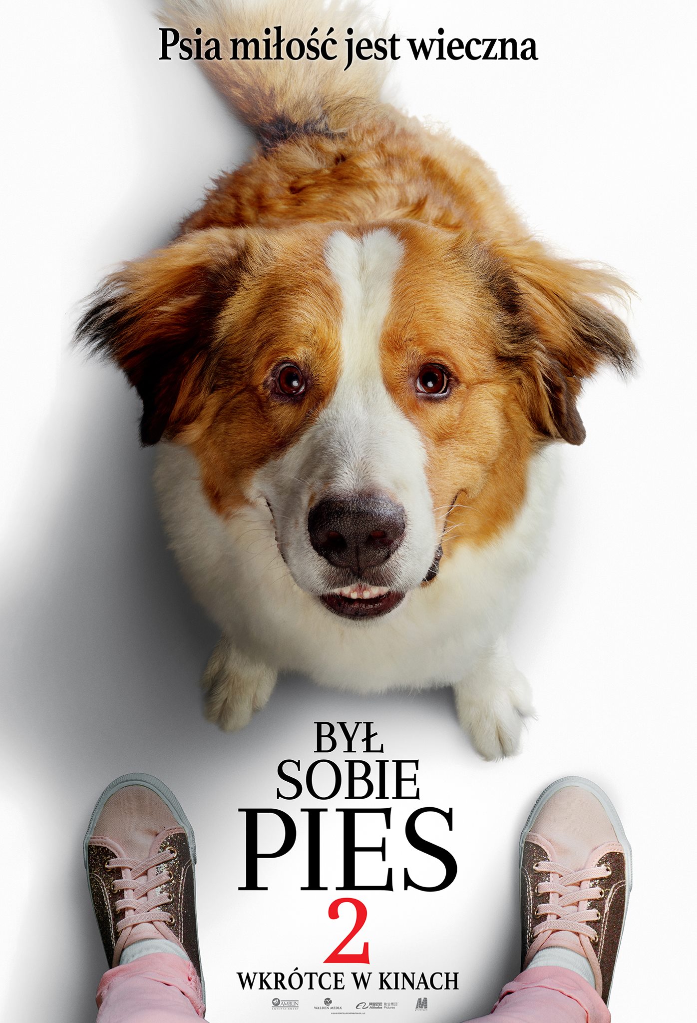 Polski plakat filmu 'Był Sobie Pies 2'