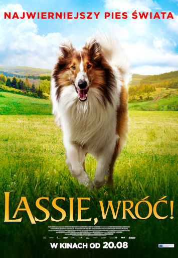 Polski plakat filmu 'Lassie, Wróć!'