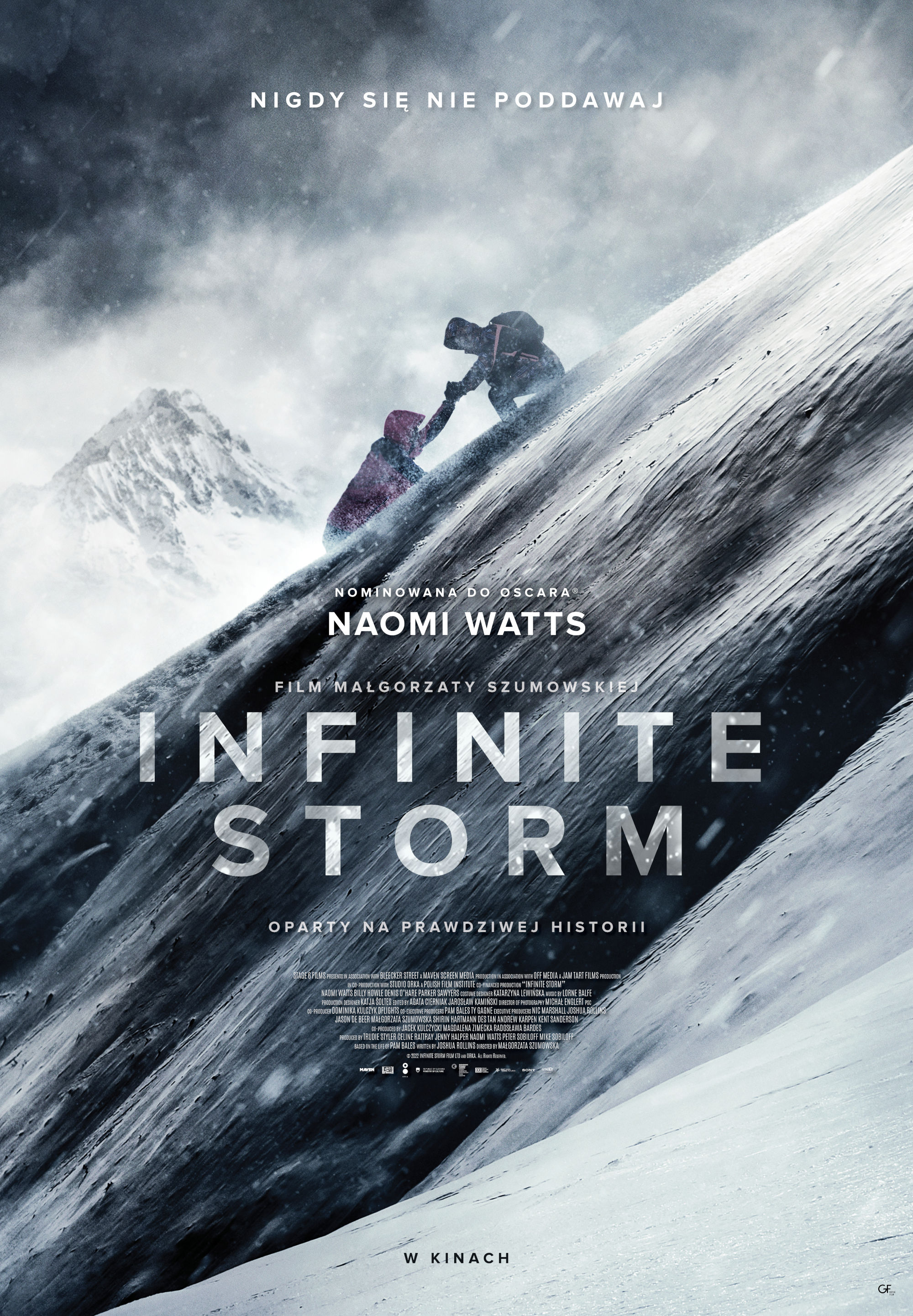 Polski plakat filmu 'Infinite Storm'