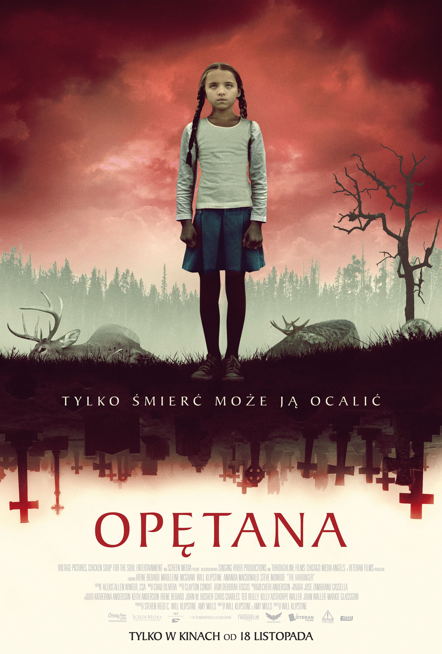 Polski plakat filmu 'Opętana'