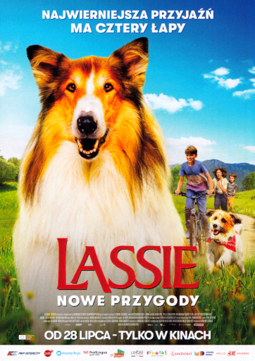 Przód ulotki filmu 'Lassie. Nowe przygody'