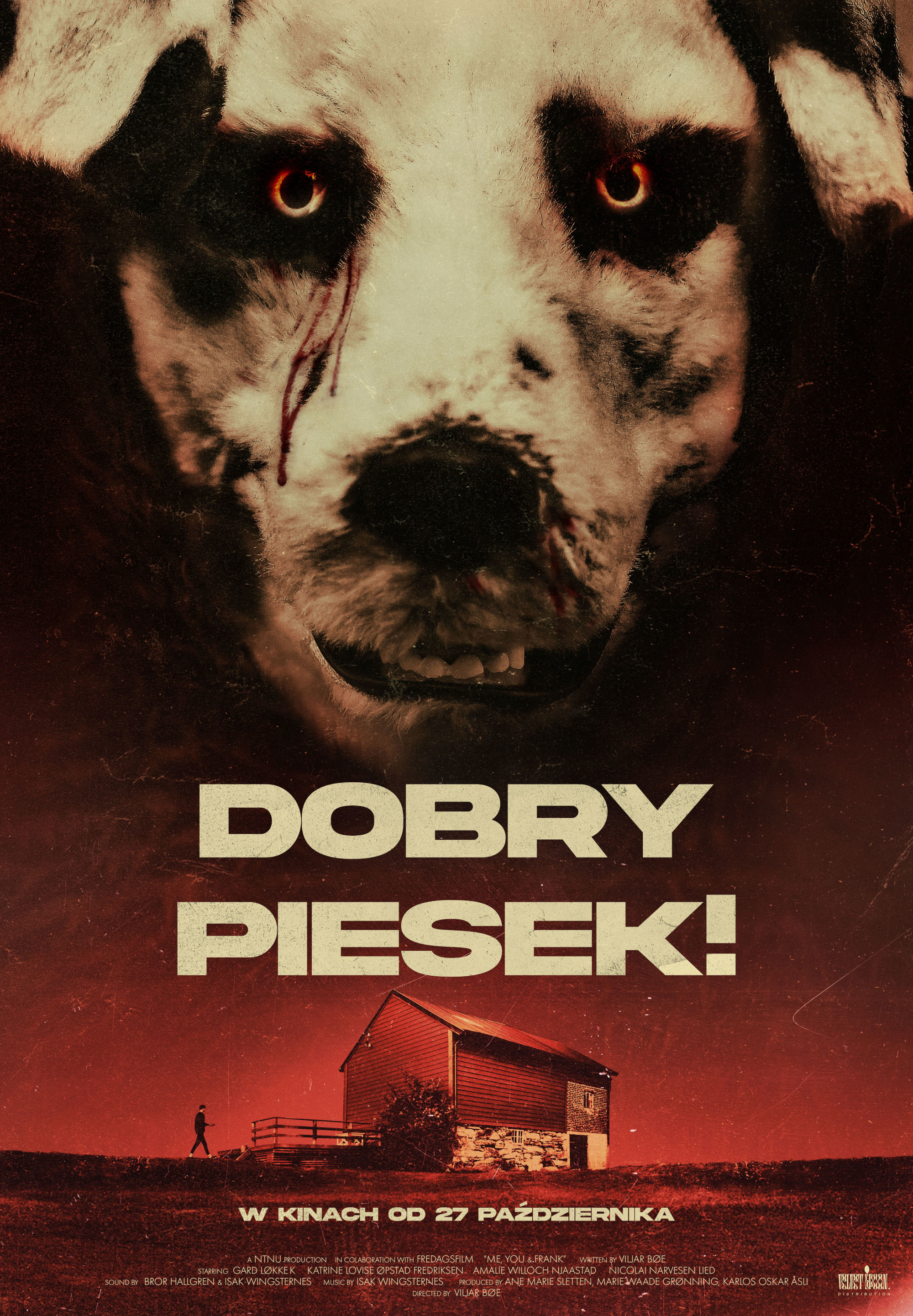 Polski plakat filmu 'Dobry piesek!'