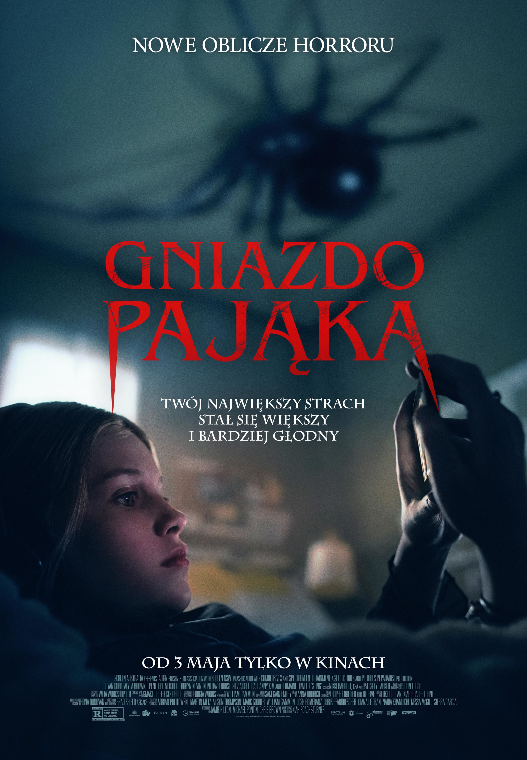 Polski plakat filmu ''