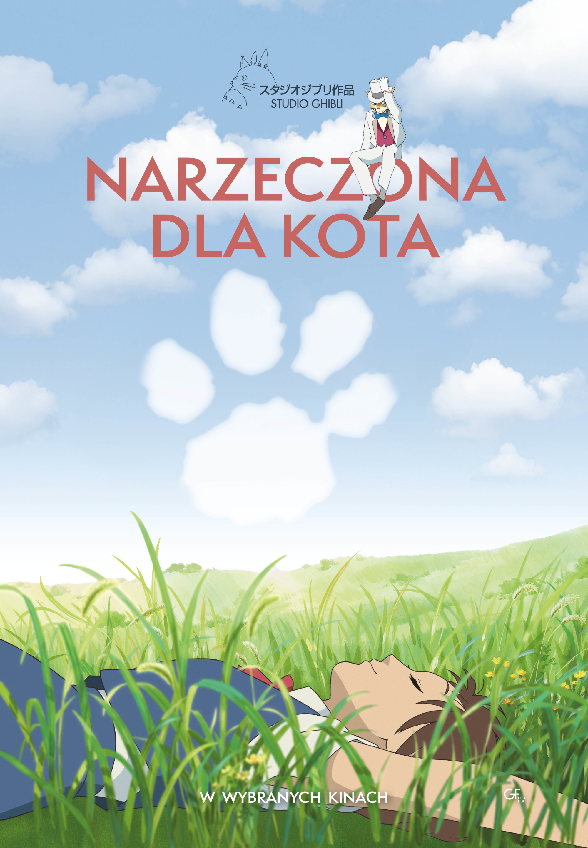 Polski plakat filmu ''