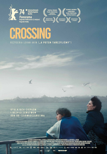 Polski plakat filmu 'Crossing'