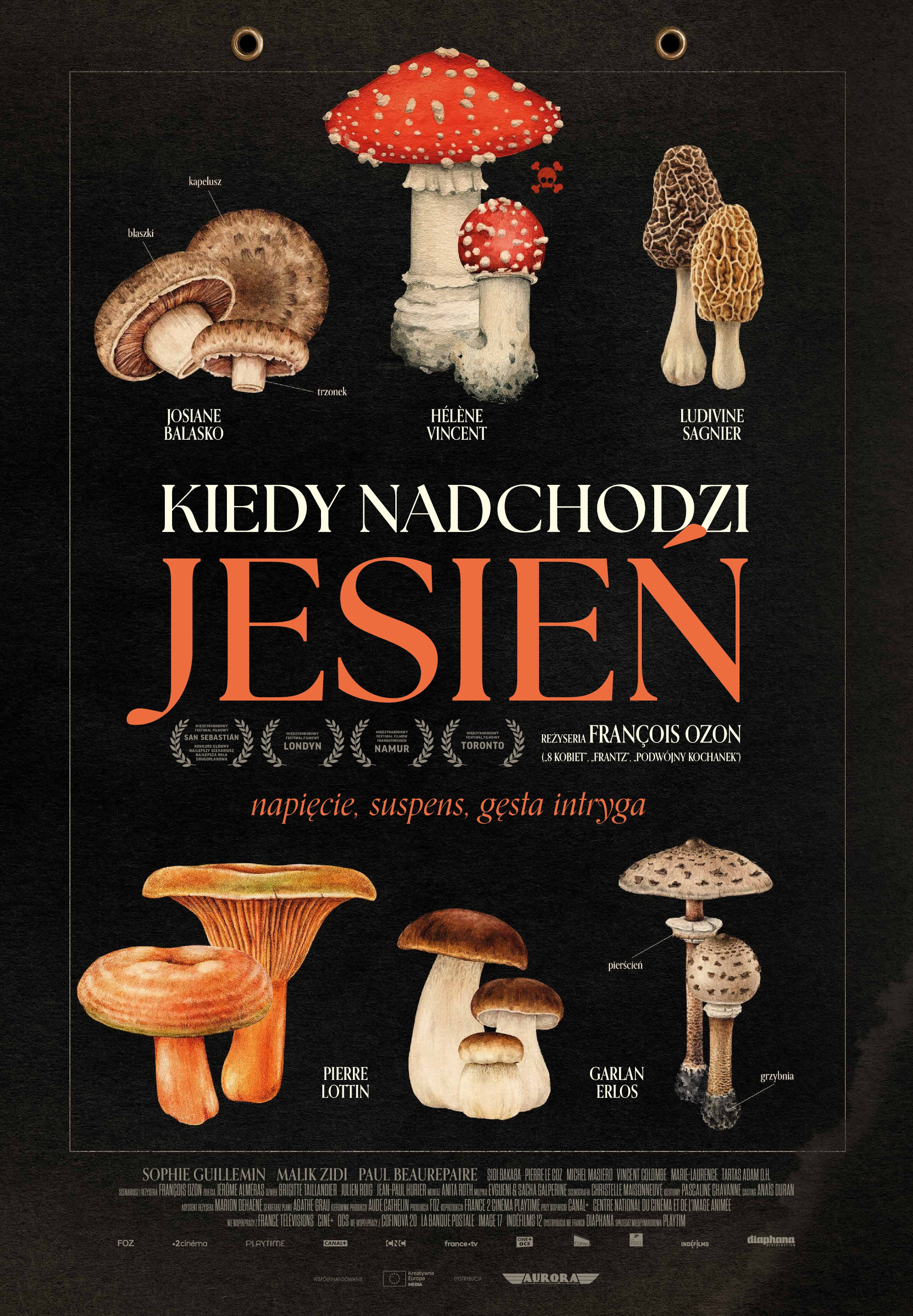 Polski plakat filmu 'Kiedy nadchodzi jesień'